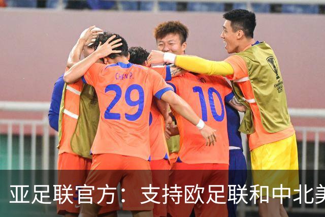 亚足联官方：支持欧足联和中北美足联，呼吁FIFA复盘自身治理