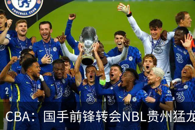 CBA：国手前锋转会NBL贵州猛龙，王少杰前往江苏男篮，吉林大将签约宁波，胡金秋预计留队
