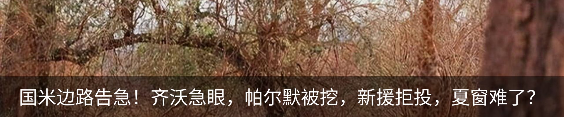 新闻中心
