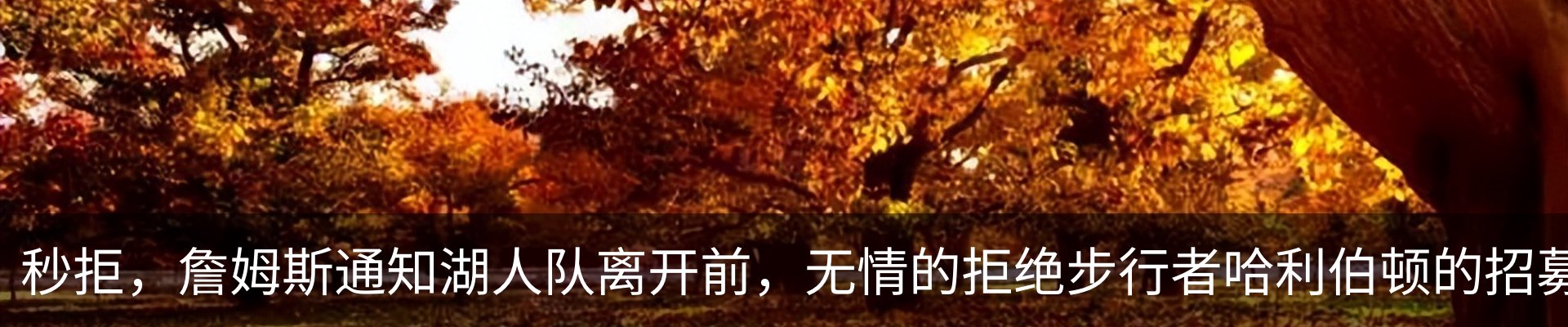新闻中心