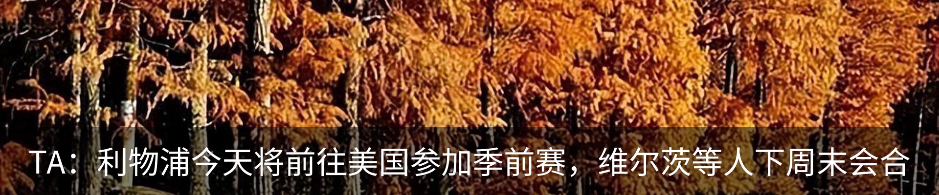 新闻中心